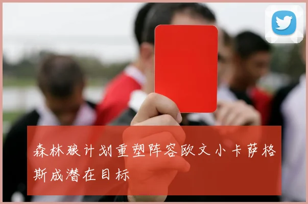 森林狼计划重塑阵容欧文小卡萨格斯成潜在目标